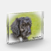 Bloc Photo Chien Cockapoo. (Gauche)