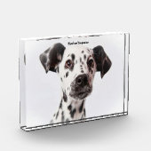 Bloc Photo Chien Dalmate. (Gauche)