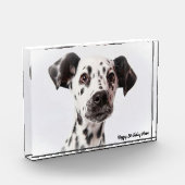 Bloc Photo Chien Dalmation. (Gauche)