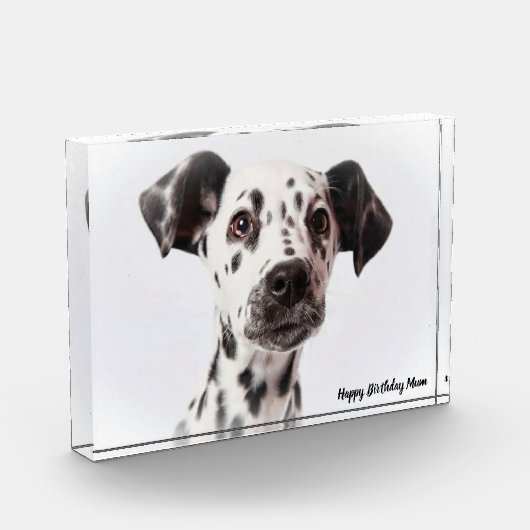 Bloc Photo Chien Dalmation. (Gauche)