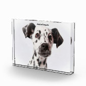 Bloc Photo Chien Dalmation. (Droite)