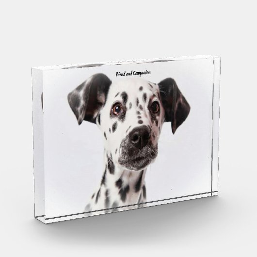 Bloc Photo Chien Dalmation. (Gauche)