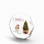 Bloc Photo Chien de Noël poméranien drôle avec arbre (Droite)