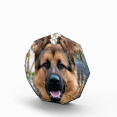 Bloc Photo Chien de police (Droite)