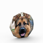 Bloc Photo Chien de police (Gauche)