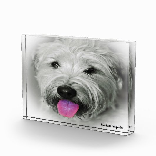 Bloc Photo Chien de Terrier. (Droite)