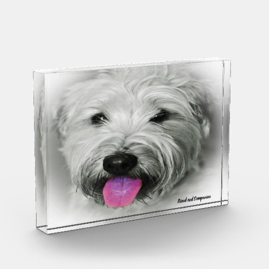 Bloc Photo Chien de Terrier. (Gauche)