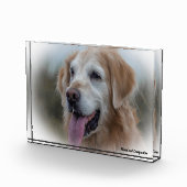 Bloc Photo Chien du Labrador. (Droite)