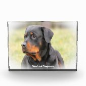 Bloc Photo Chien Rottweiler (Devant)