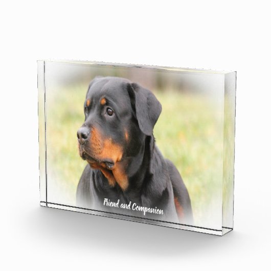 Bloc Photo Chien Rottweiler (Droite)