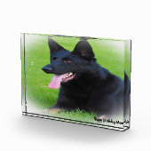 Bloc Photo Chien Shepard allemand. (Droite)