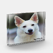 Bloc Photo Chien Shepard allemand. (Gauche)