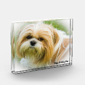 Bloc Photo Chien Shih Tzu (Gauche)