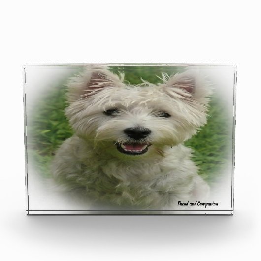 Bloc Photo Chien Westie. (Devant)