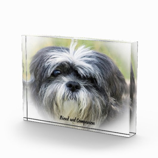 Bloc Photo Chih Tzu Chien. (Droite)