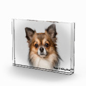Bloc Photo Chihuahua Chien. (Droite)
