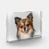 Bloc Photo Chihuahua Chien. (Gauche)