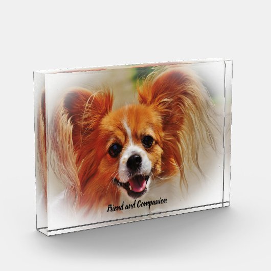 Bloc Photo Chihuahua Dog. (Gauche)