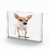 Bloc Photo Chihuahua Dog. (Droite)