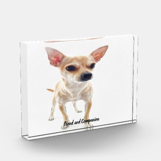 Bloc Photo Chihuahua Dog. (Gauche)
