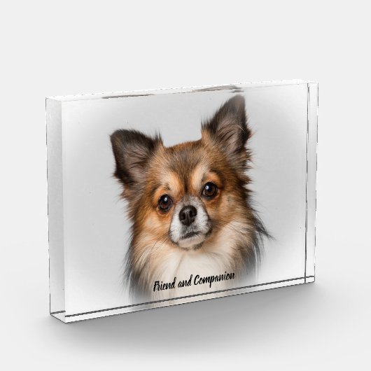 Bloc Photo Chihuahua Dog. (Gauche)