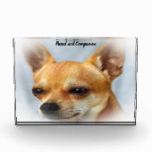 Bloc Photo Chihuahua Dog. (Devant)