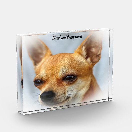 Bloc Photo Chihuahua Dog. (Gauche)