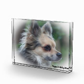 Bloc Photo Chihuahua Dog. (Droite)