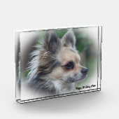 Bloc Photo Chihuahua Dog. (Gauche)