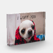 Bloc Photo Chihuahua mignon Je vous jure que vous aimez Valen (Gauche)