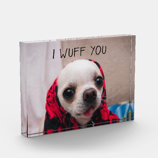 Bloc Photo Chihuahua mignon Je vous jure que vous aimez Valen (Gauche)