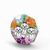 Bloc Photo Chiots mignons (Droite)