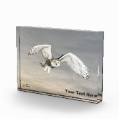 Bloc Photo Chouette des neiges (Droite)