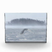 Bloc Photo Chouette Neige Volant En Hiver (Devant)