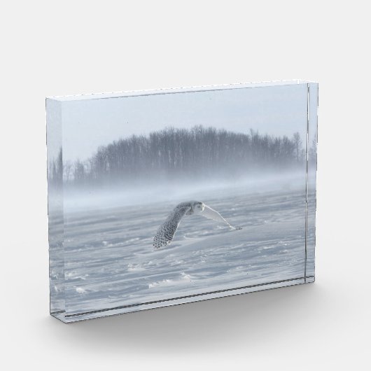 Bloc Photo Chouette Neige Volant En Hiver (Gauche)