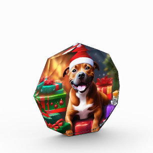 Bloc Photo Christmas Staffordshire Bull Terrier