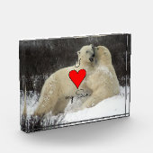 Bloc Photo Citation de Son (Gauche)