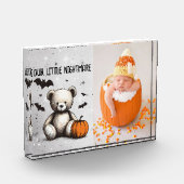 Bloc Photo Citrouille Teddy (Gauche)