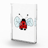 Bloc Photo Coccinelle (Droite)