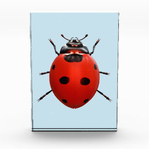 Bloc Photo Coccinelle Chanceuse