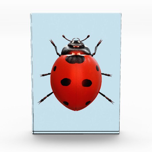 Bloc Photo Coccinelle Chanceuse (Devant)