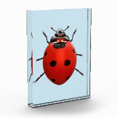Bloc Photo Coccinelle Chanceuse (Gauche)