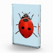 Bloc Photo Coccinelle Chanceuse (Droite)