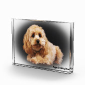 Bloc Photo Cockapoo Dog. (Droite)