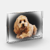 Bloc Photo Cockapoo Dog. (Gauche)