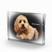 Bloc Photo Cockapoo Dog. (Droite)