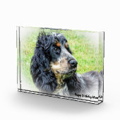 Bloc Photo Cocker Spaniel. (Droite)