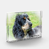 Bloc Photo Cocker Spaniel. (Gauche)
