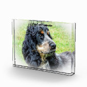 Bloc Photo Cocker Spaniel. (Droite)