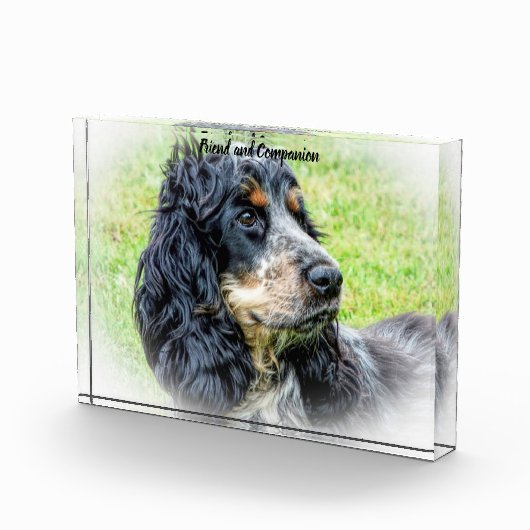 Bloc Photo Cocker Spaniel. (Droite)